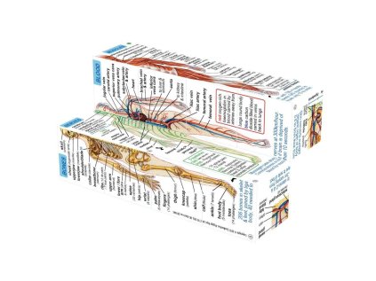 Zoobookoo Kniha v kocke Ľudské telo