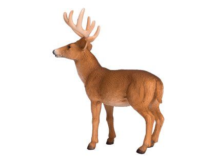 387038 2.animal