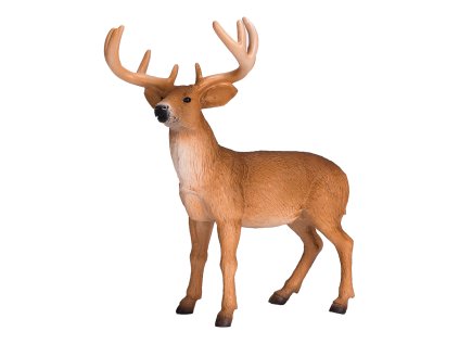 Mojo Jeleník bielochvostý