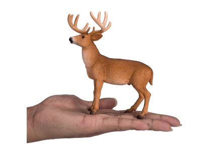 Mojo Jeleník bielochvostý