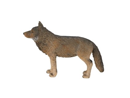 Mojo Vlk dravý stojaci