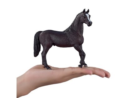 Mojo Arabský žrebec čierny