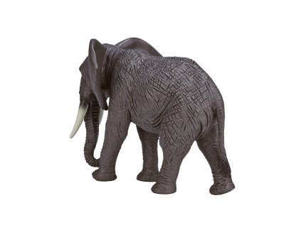 Mojo Slon africký
