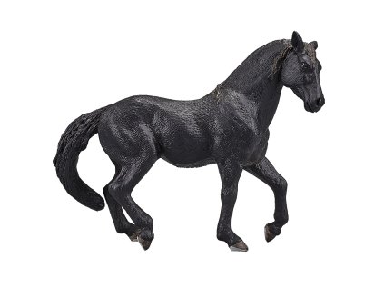 Mojo Andalúzsky kôň čierny