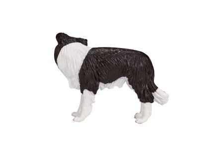 Mojo Borderská kólia