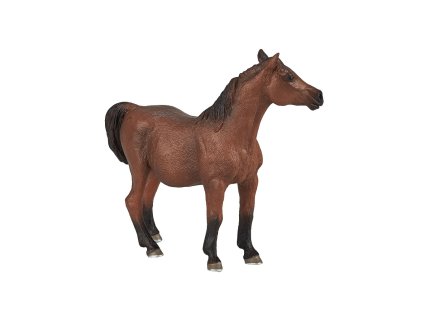 Mojo Arabská kobyla gravidná