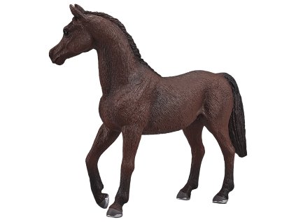 Mojo Arabský žrebec gaštan