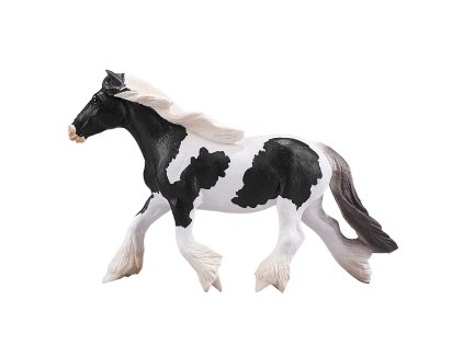 Mojo Írsky tinker kobyla