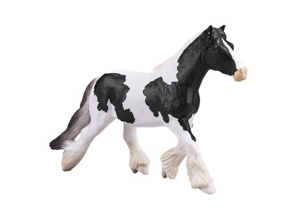 Mojo Írsky tinker kobyla