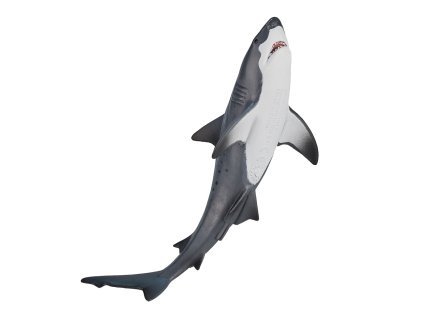 Mojo Žralok belavý