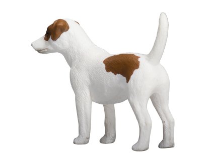 Mojo Teriér Jacka Russella