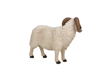 Mojo Hampshire baran