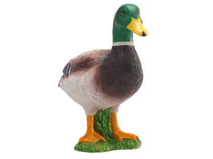 Mojo Kačica divá káčer