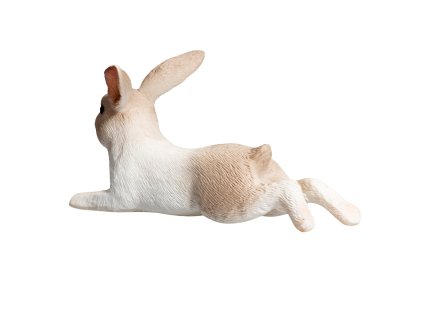 Mojo Králik ležiaci