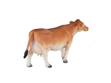 Mojo Jerseyská krava