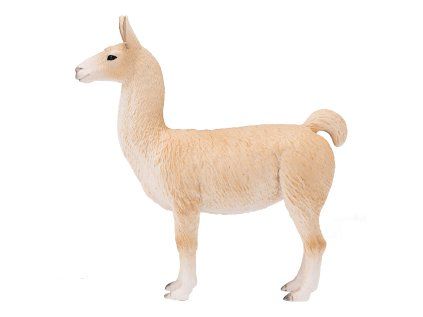 387391 1.animal
