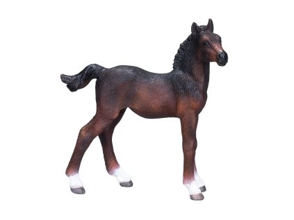 Mojo Hannoverské žriebä hnedé