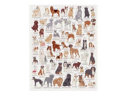 5055923785768 2.puzzle