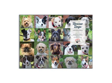 Galison Puzzle Cestoviny 1000 dielikov