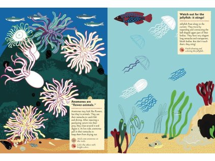 Chronicle Books Kniha aktivít so samolepkami Na Pobreží