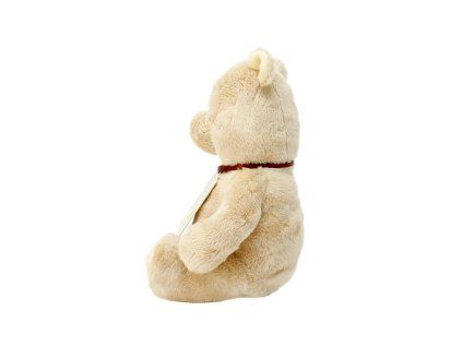 DN1460 White 05 01.png