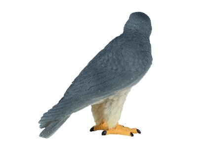 Mojo Sokol sťahovavý