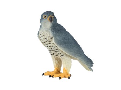 Mojo Sokol sťahovavý