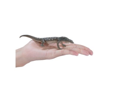 Mojo Varan obrovský