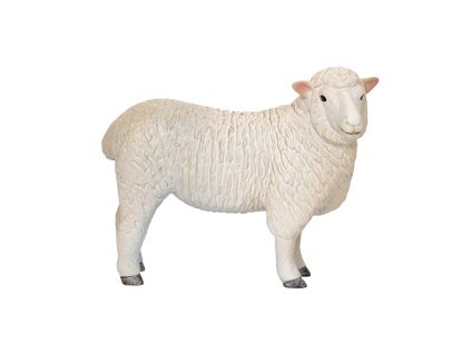 Mojo Ovca romney marsh