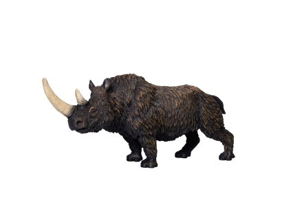 Mojo Nosorožec srstnatý