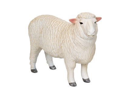 Mojo Baran romney marsh