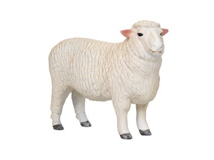 Mojo Baran romney marsh