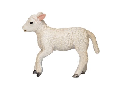 Mojo Jahniatko romney marsh bežiace