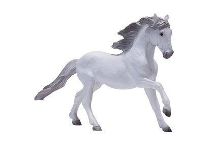 Mojo Lusitánsky kôň biely