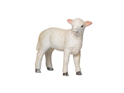 Mojo Jahniatko romney marsh stojace