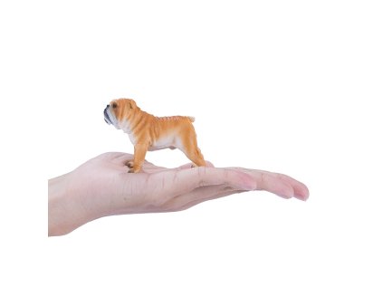 Mojo Anglický buldog