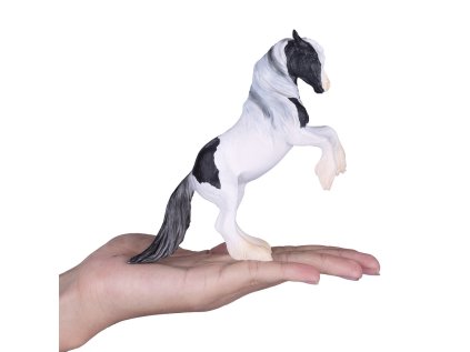 Mojo Írsky tinker žrebec