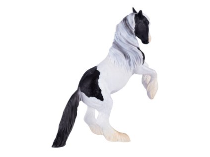 Mojo Írsky tinker žrebec