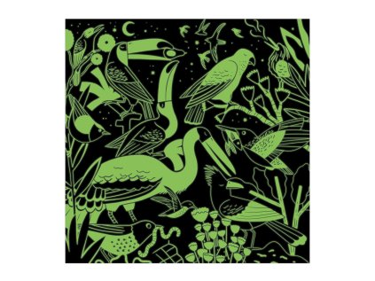 Mudpuppy Puzzle Vtáky - svietia v tme 500 dielikov