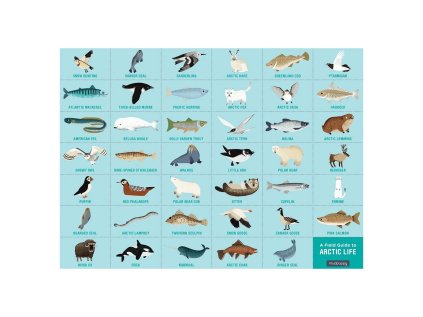 Mudpuppy Puzzle skladaj a hľadaj Život v Arktíde 64 dielov Poškodený obal