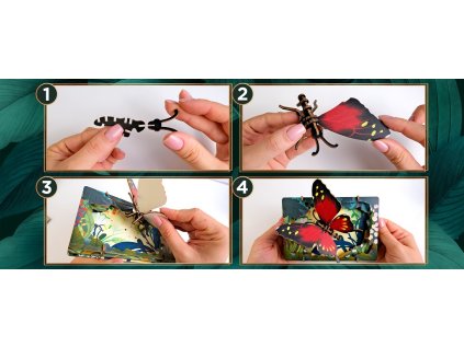 EscapeWelt 3D drevené puzzle Motýľ