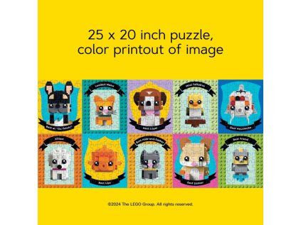 CHB2742 Lego puzzle 2