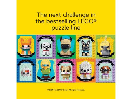 CHB2742 Lego puzzle 1