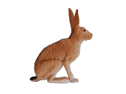 MJ381072 Hare zajic 1