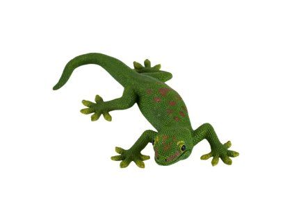 MJ381078 Gecko 2