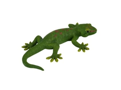 MJ381078 Gecko 1