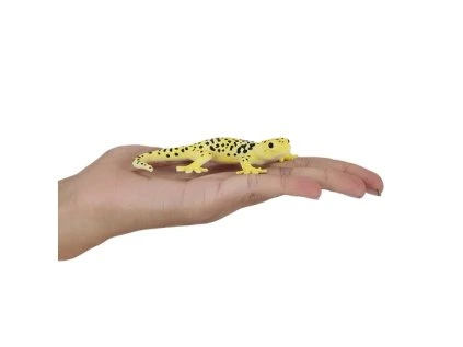 MJ381077 Leopard Gecko 3