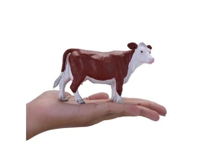 MJ381074 Hereford krava 3