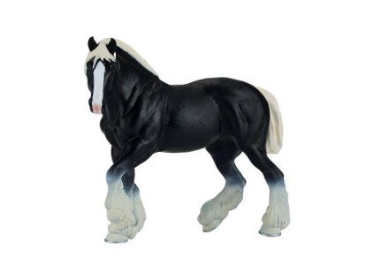 MJ381083 Clydesdale cerny 1