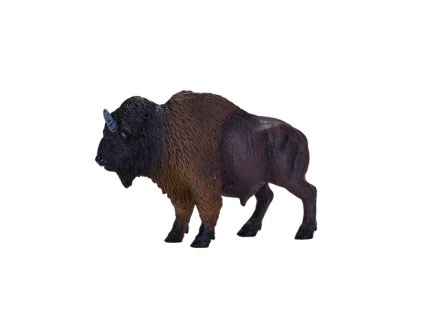 MJ381076 American Bison 2